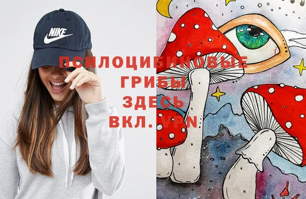 дмт Алексеевка